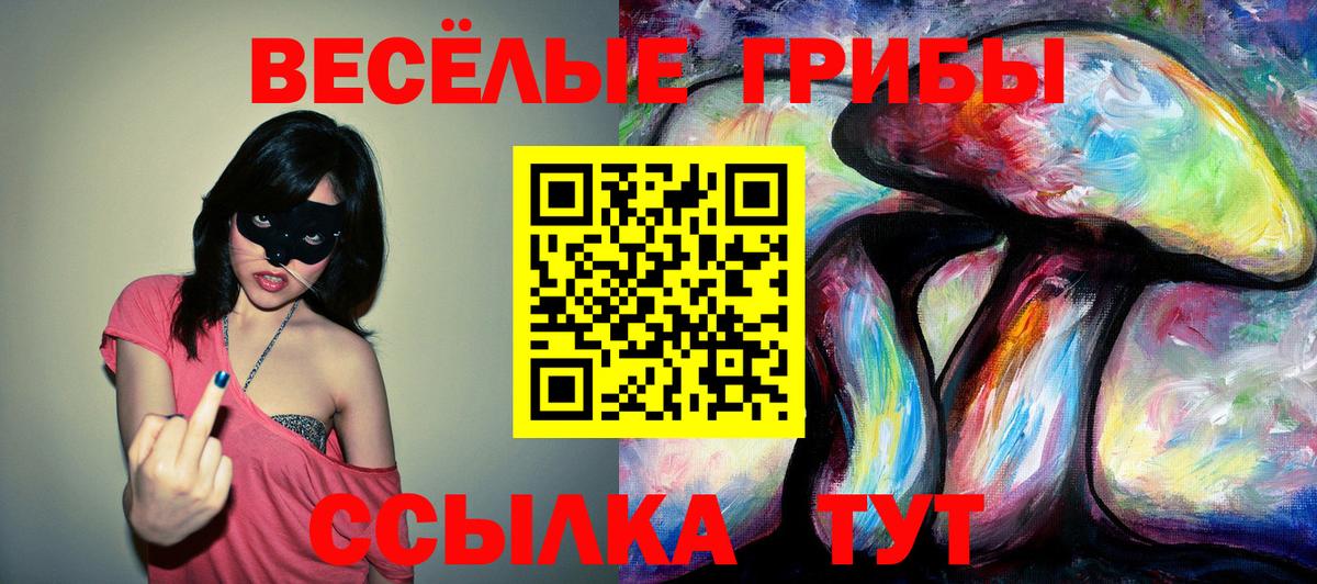 Псилоцибиновые грибы Psilocybine cubensis Арзамас