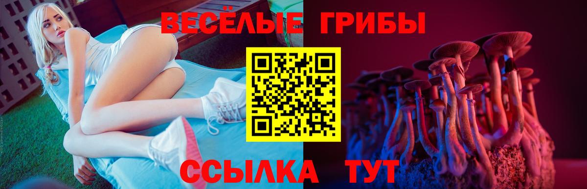 Арзамас  Псилоцибиновые грибы прущие грибы  Вход с VPN 